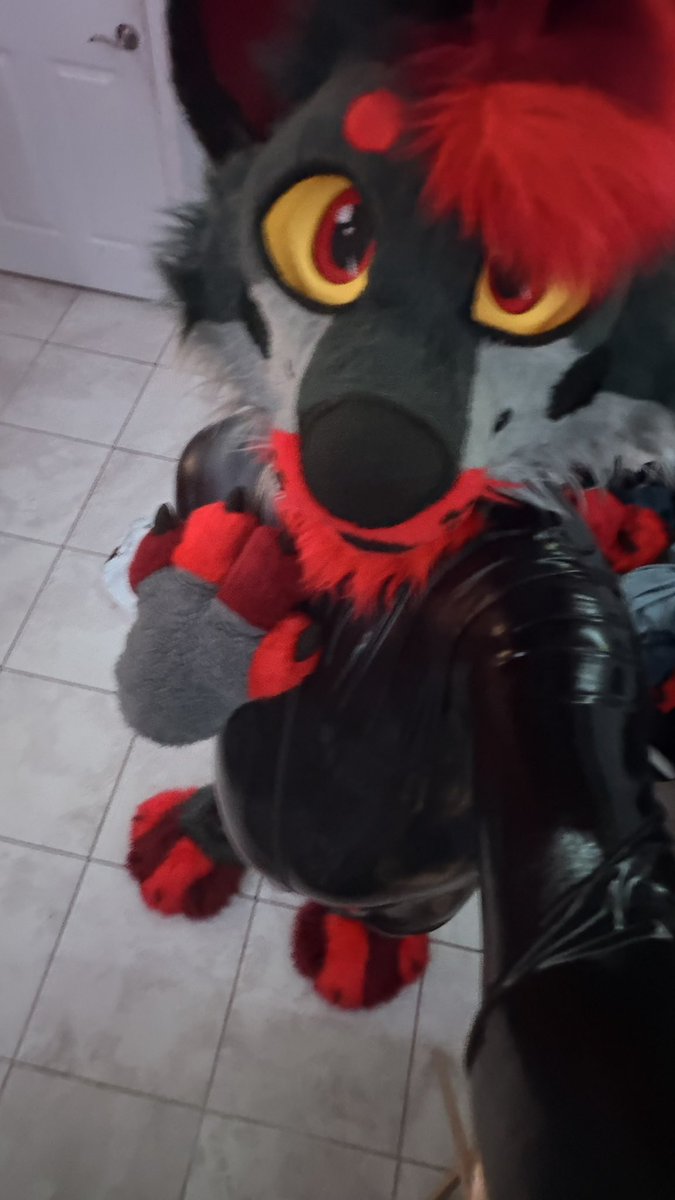 squeaky_ryderr's tweet photo. Hi! I haven’t made a proper introduction post yet so figured I should. I’m Ryder a lover of everything squeaky :3
I love cuddles ofc and I’m just a squeaky dog. I post on here because it feels like me and I love sharing my passion to others! https://t.co/FWmM7P5RVy