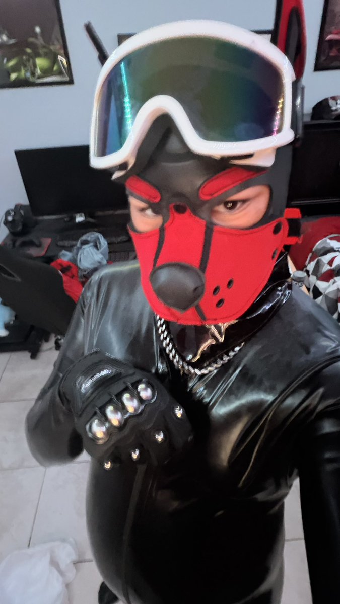squeaky_ryderr's tweet photo. Hi! I haven’t made a proper introduction post yet so figured I should. I’m Ryder a lover of everything squeaky :3
I love cuddles ofc and I’m just a squeaky dog. I post on here because it feels like me and I love sharing my passion to others! https://t.co/FWmM7P5RVy