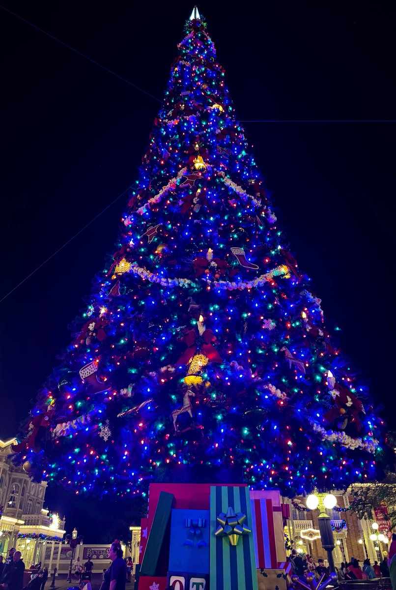 Perusuke_JP's tweet photo. Xmasでした🎄
#wdw https://t.co/374NPQ510u
