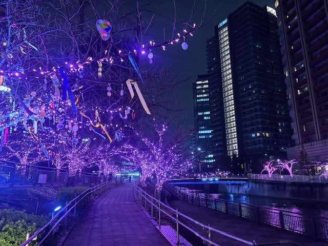 【目黒川みんなのイルミネーション】

今年で開催15周年🎉を迎えた「目黒川みんなのイルミネーション」が12月5日より点灯しています✨

期間：2025年12月5日（金）～
           2026年1月31日（土）
点灯時間：17:00〜22:30