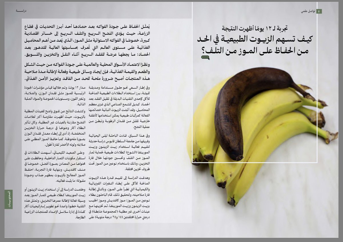 alyahyai's tweet photo. ثلاثة مواضيع طرحتها مجلة اقرأ عن البحث العلمي في #كلية_العلوم_الزراعية_والبحرية 🌿
ودراسات قام بها د. باسم الكلباني ( @alaklabani ) على محصول #الرمان و م. حنان اليحيائية عن محصول #الموز في دراستها للماجستير، وتم نشرها في مجلات علمية محكمة، تشرفت بالاشراف عليهما، شكراً لجهودكم 🌿 https://t.co/DQZjcCee06