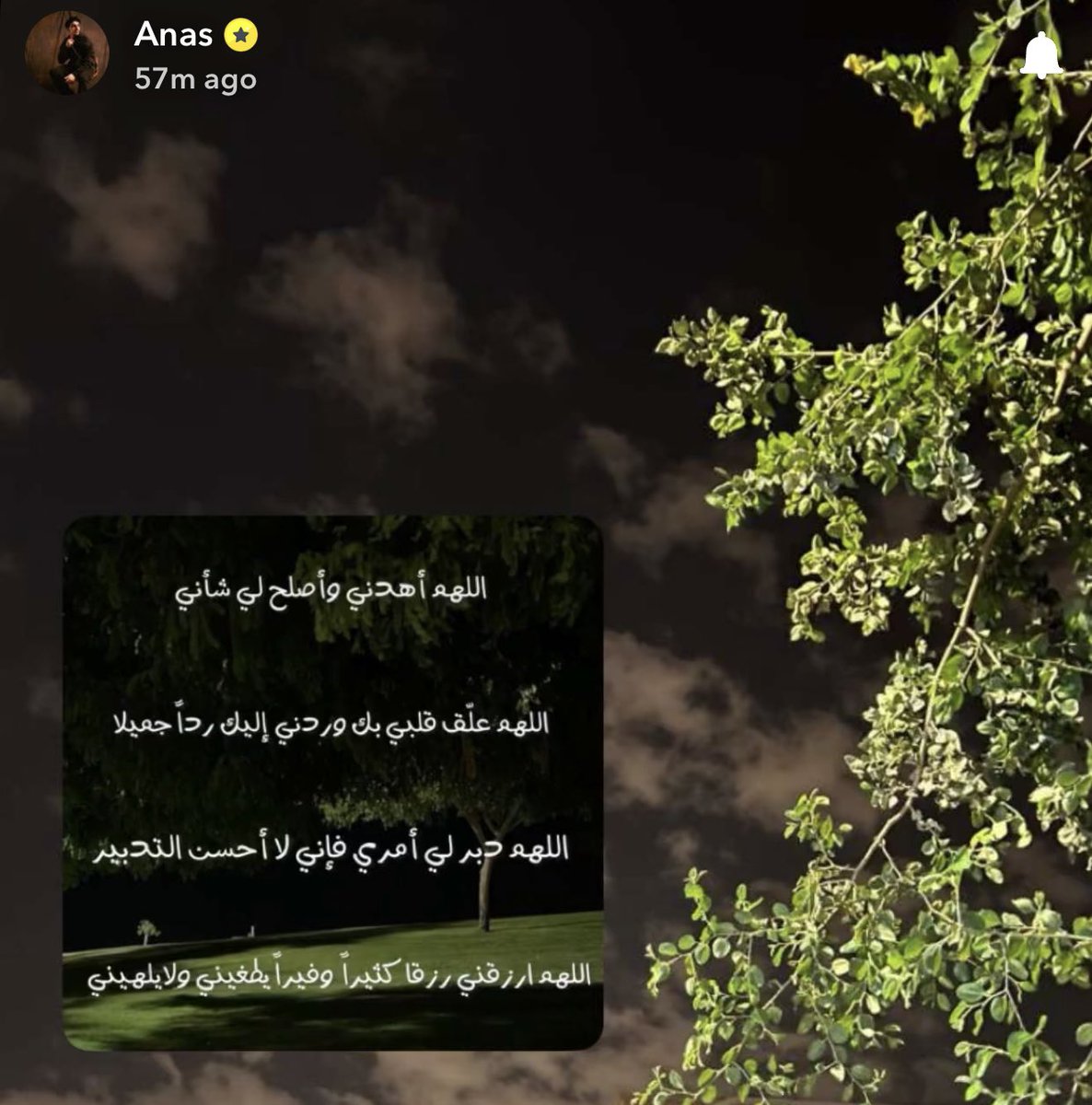 • رام • tweet media