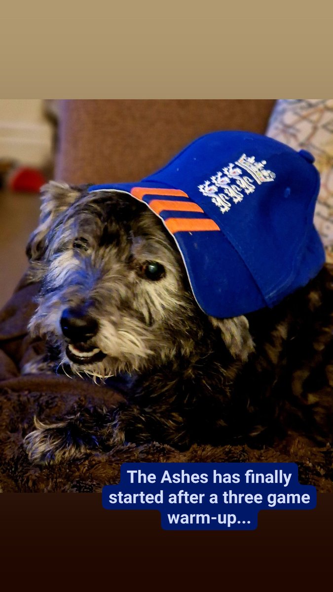 Straight-PR tweet media