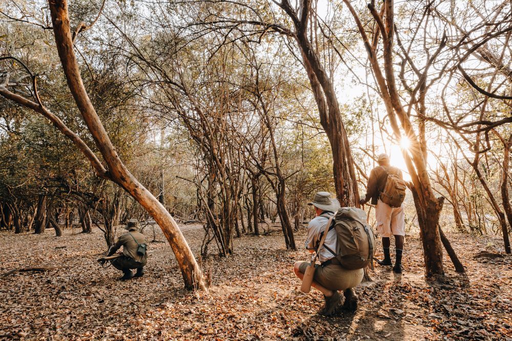 What is it like doing a walking safari in Malawi? Picture diverse landscapes, plentiful game and knowledgeable guides. Denis Costello shares his experience: buff.ly/feCeLha