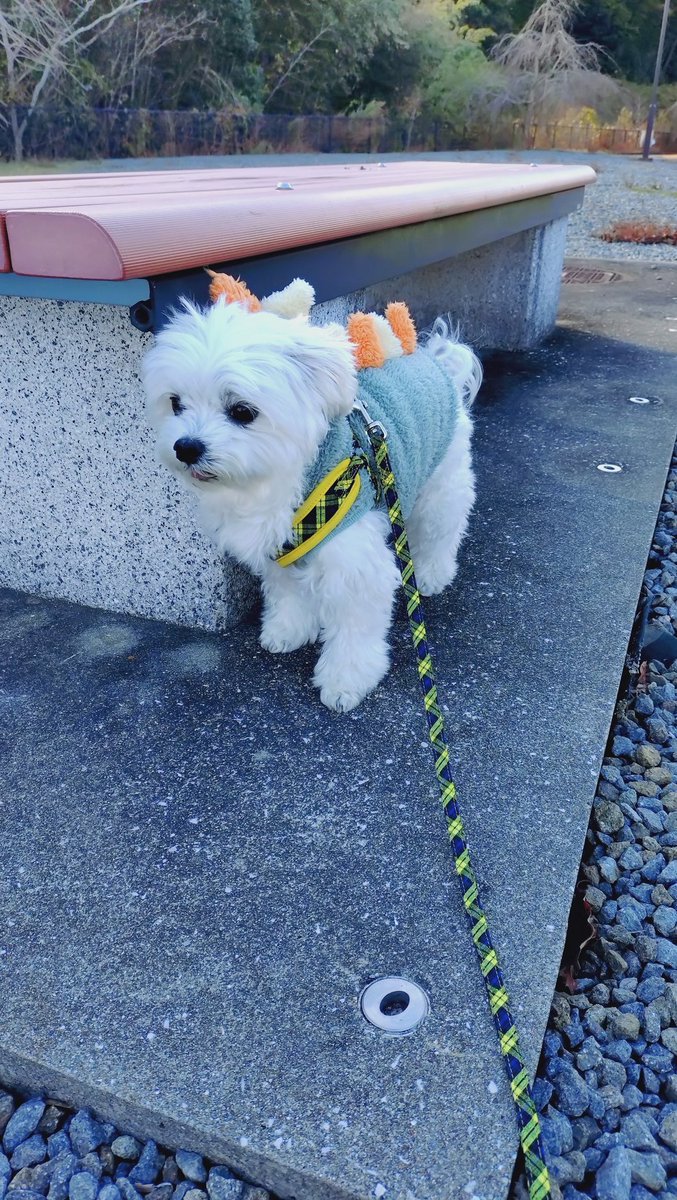 にこまる (@6yQgZFNMNk76215) / Posts / X