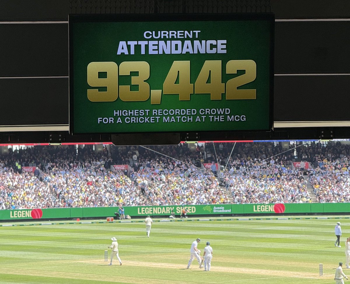 Sean Marsicovetere tweet media