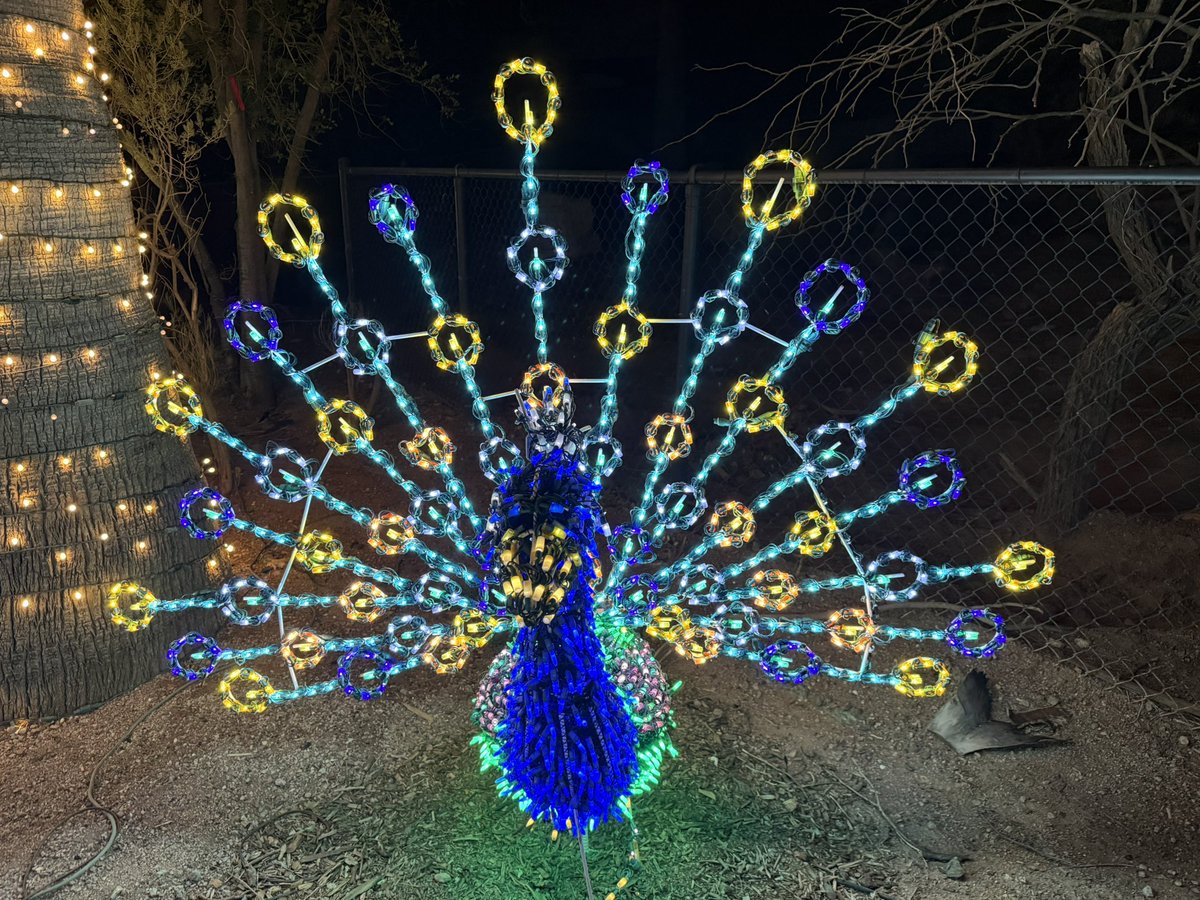 BeautyBabesBall's tweet photo. A great night enjoying Zoo Lights with our @UNMLoboFB football family! GO LOBOS!
β€οΈππ
πΌππ¦π©Άπβ€οΈπΊπβοΈπ³ποΈ
#golobos #bowlgame #zoolights #christmas2025 #coachskids @RateBowl https://t.co/1k8IgR5Yla