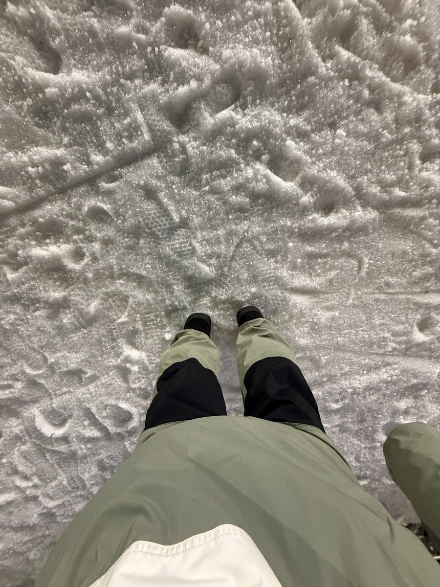 1000일과 보드 . . 🏂