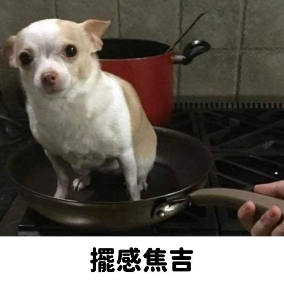 這次大遷徙在觀望一下
即使確定跟上大部隊了也還是會繼續用
畢竟那邊的梗圖哪有這裡多呢！

bsky.app/profile/lowo-v…

但姑且還是有創個，這次真的會找時間整理一下ㄌ