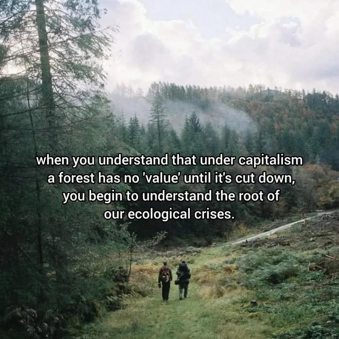 beyond_capital's tweet image. 