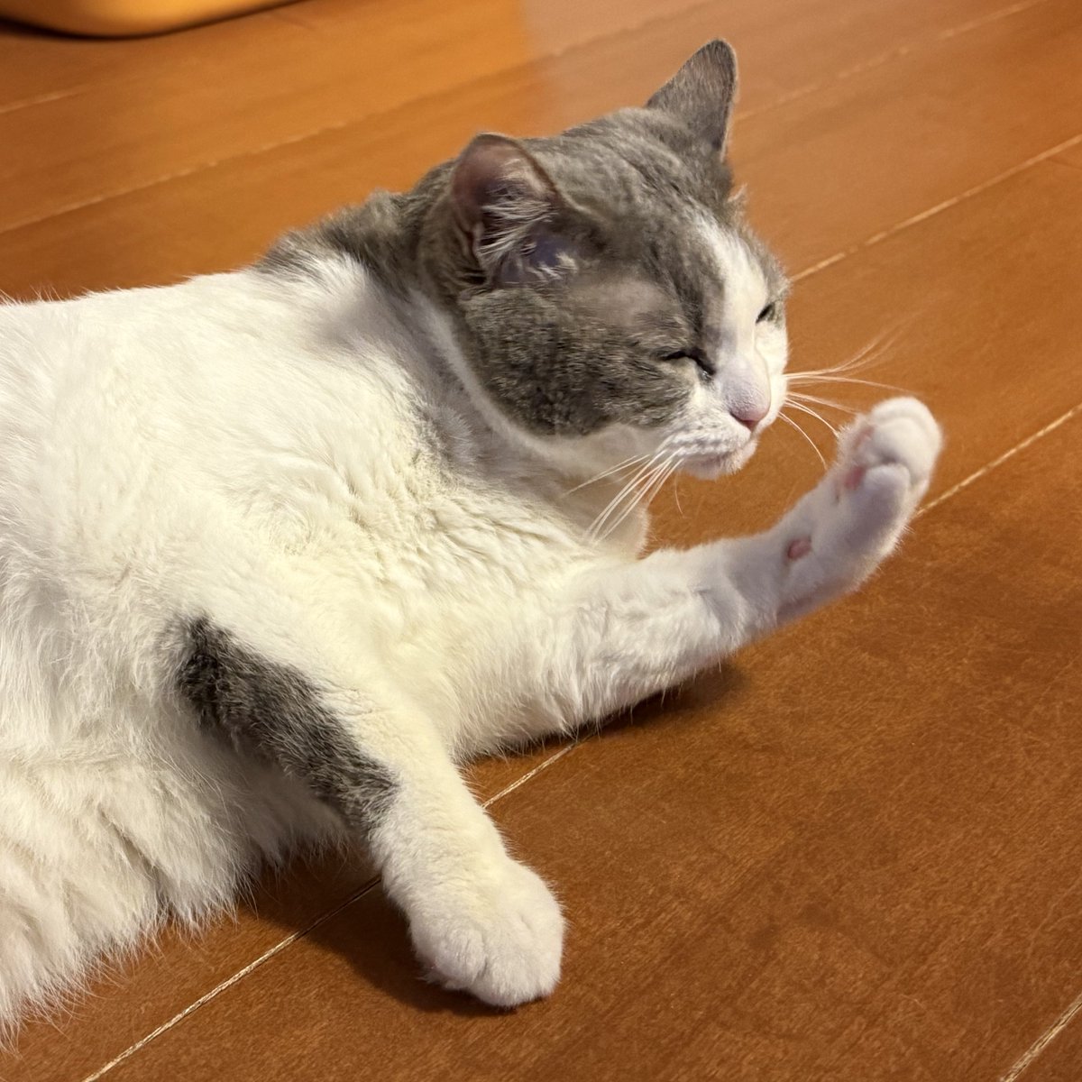 ❤︎ページ 好き超好き？🎀 ピンクのカーディガンかわちぃ💕 制服ディズニーさんし