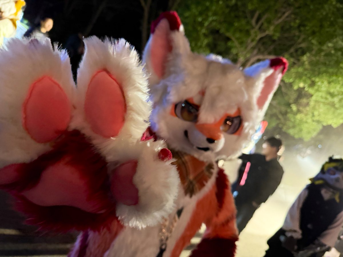 #FursuitFriday 
第一次毛五！！

📹：<a href="/Greedypangda/">贪吃小熊喵</a>