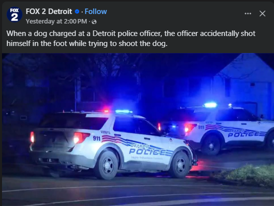 Commentary tweet media