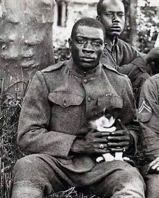 Dr_TheHistories's tweet image. A member of Harlem Hellfighters (369th Infantry Regiment) poses for camera while holding a puppy he saved during WWI, 1918... 

Harlem Hellfighters was a regiment made up of decorated Black soldiers who fought as part of the French army because the U.S. did not allow Black…