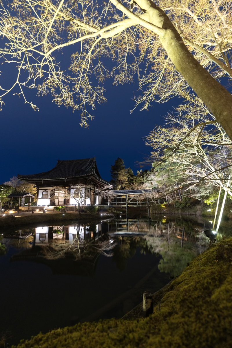 □元日夜間特別拝観 2025年12月31日22時～2026年1月1日2時 （受付