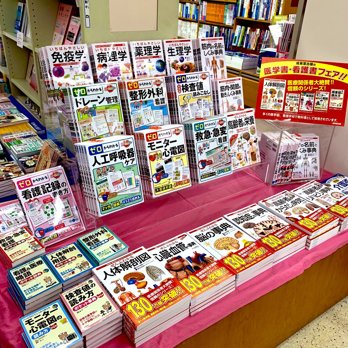 フェア】 成美堂出版 医学書•看護書フェア‼️ 医療関係者大絶賛