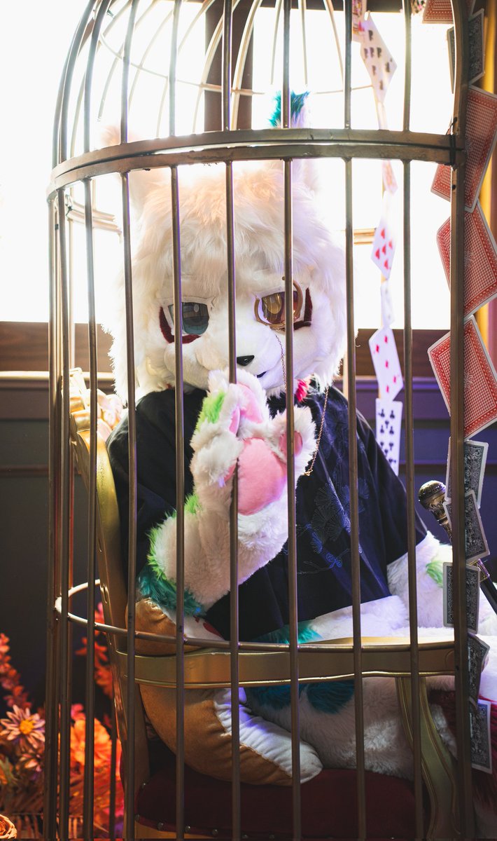 年糕/雲簽 tweet media