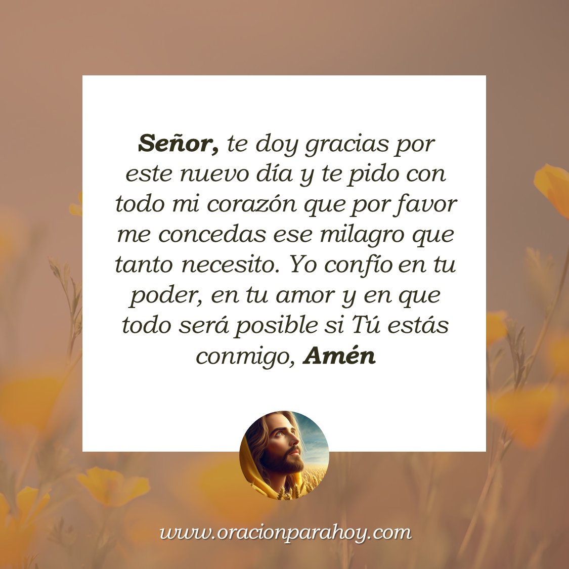 OracionParaHoy's tweet photo. ORACIÓN DE LA MAÑANA PARA ALCANZAR UN MILAGRO: SEÑOR, te pido que hoy sea un día bueno y feliz, que Tú me acompañes en todo momento y que en tu inmensa bondad me concedas aquel milagro por el que tanto he orado.

Haz esta oración en: https://t.co/ZlCKCoYHGL ✨ https://t.co/nm1LYiEpUg