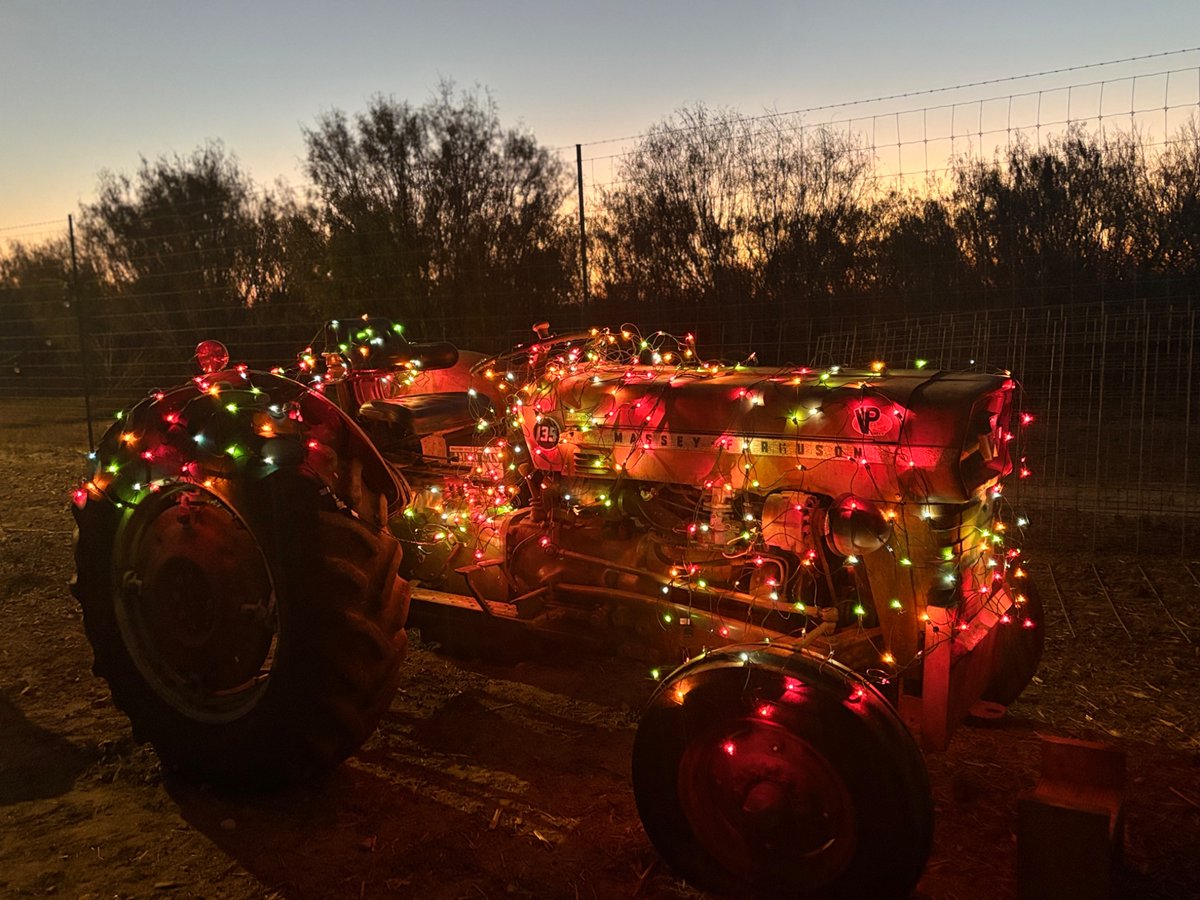 Sadly another year of no Goth baddie who’s insane at Valorant under the tree but I had a great time being with family and taking a break from training!