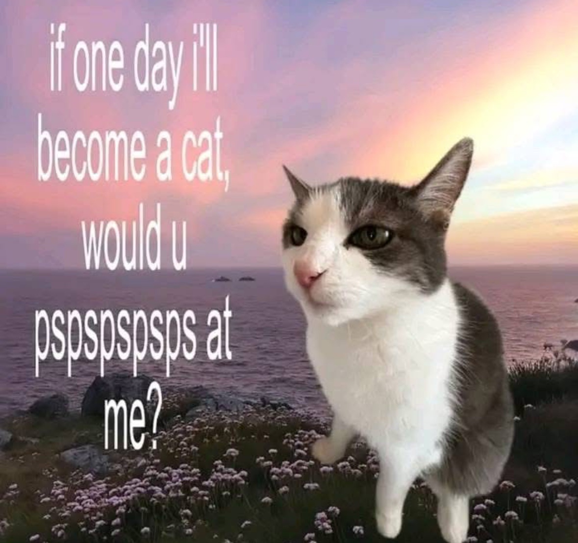 RespectfulMemes's tweet photo. https://t.co/DprSUreNHd