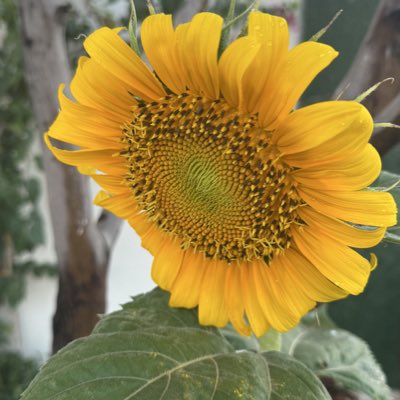 #صورة_جديدة_للملف_الشخصي