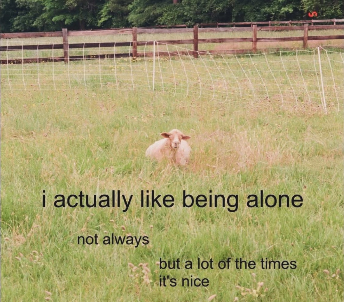 RespectfulMemes's tweet image. 