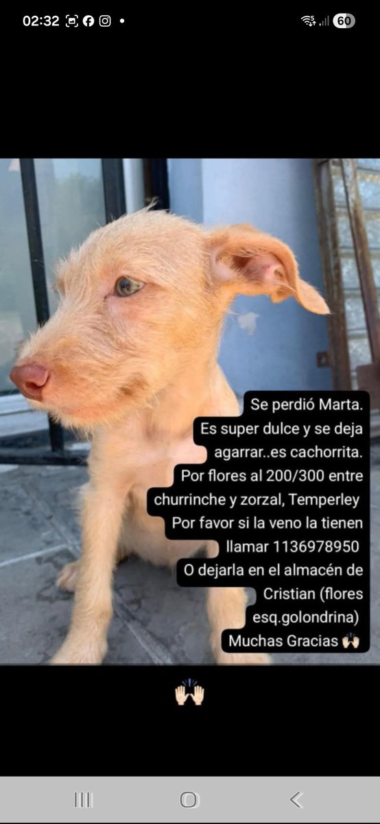 MariaIn77662119's tweet image. 