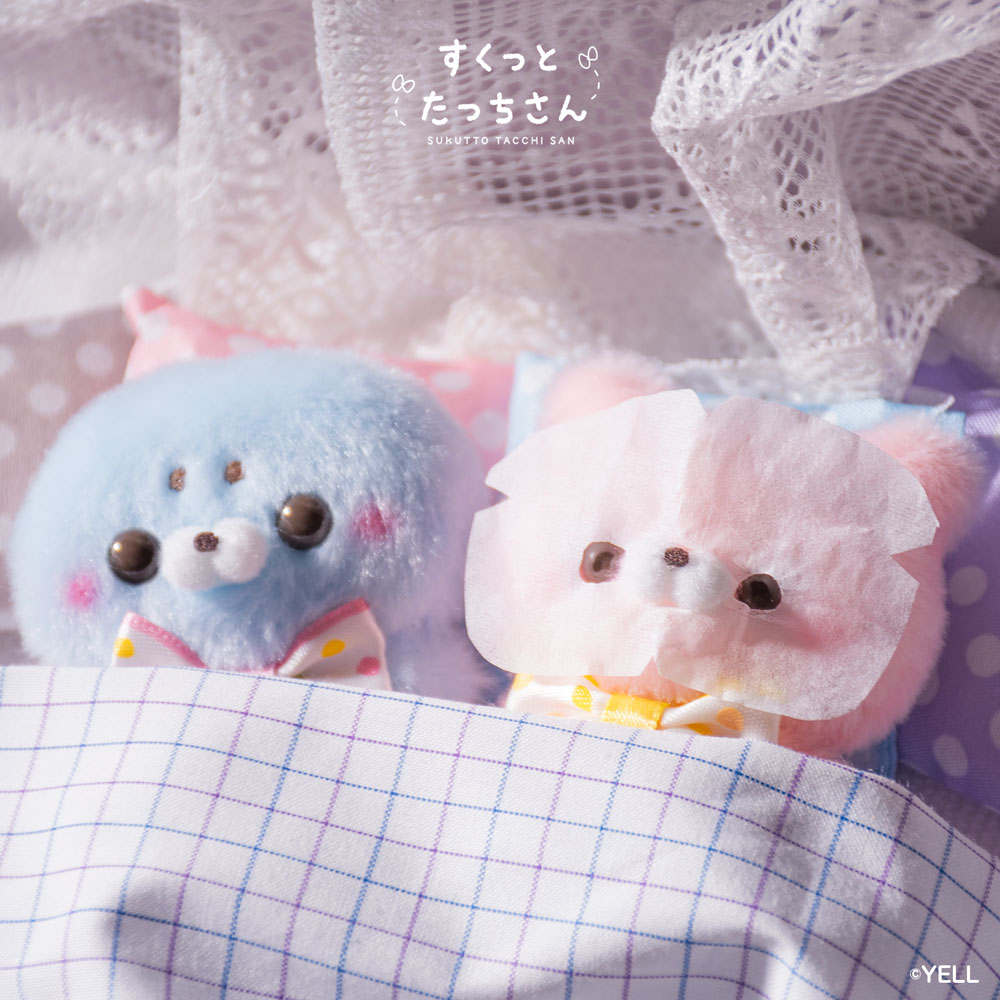 すくっとたっちさんʚ🎀ɞ (@SukuttoTatchsan) / Posts / X