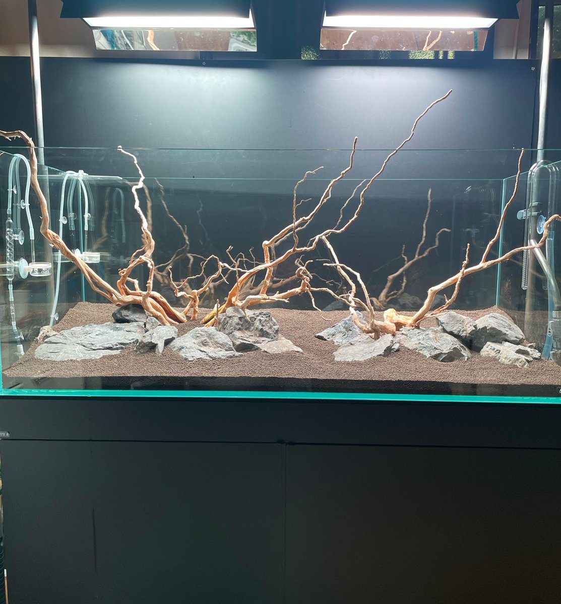 Biokimia362091's tweet photo. ネイチャーソイル、天林石、パイソンウッドを使用した水草レイアウト水槽を立ち上げています！

今回、レイアウトをしてくださったのは、
Ryo Watanabeさんです！

完成後は、作成中の動画もYouTubeにアップするので是非ご覧ください！

Ryo Watanabe →https://t.co/AXlNOlB3wF

＃Biokimia ＃水草 https://t.co/KluPVmo6mP