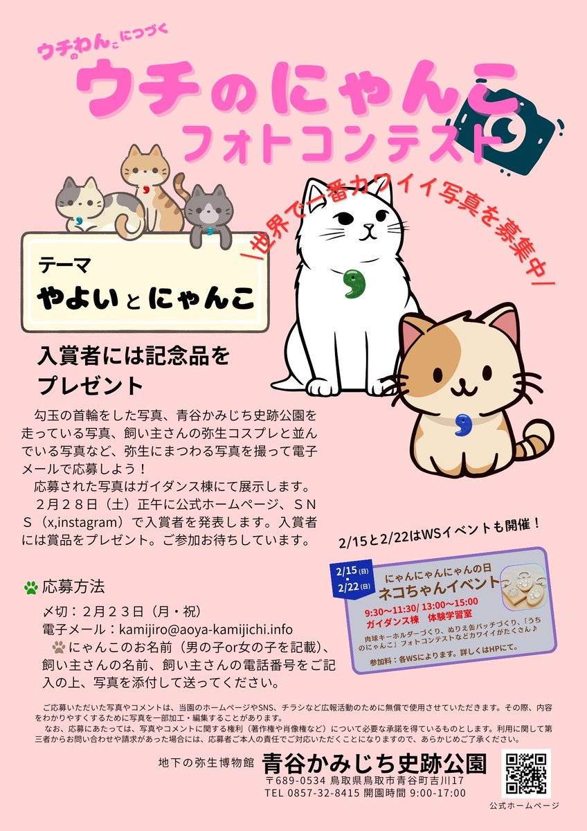 こんにちは🤗アタクシです😊 【ウチのにゃんこ】 前回の「ウチのわんこ