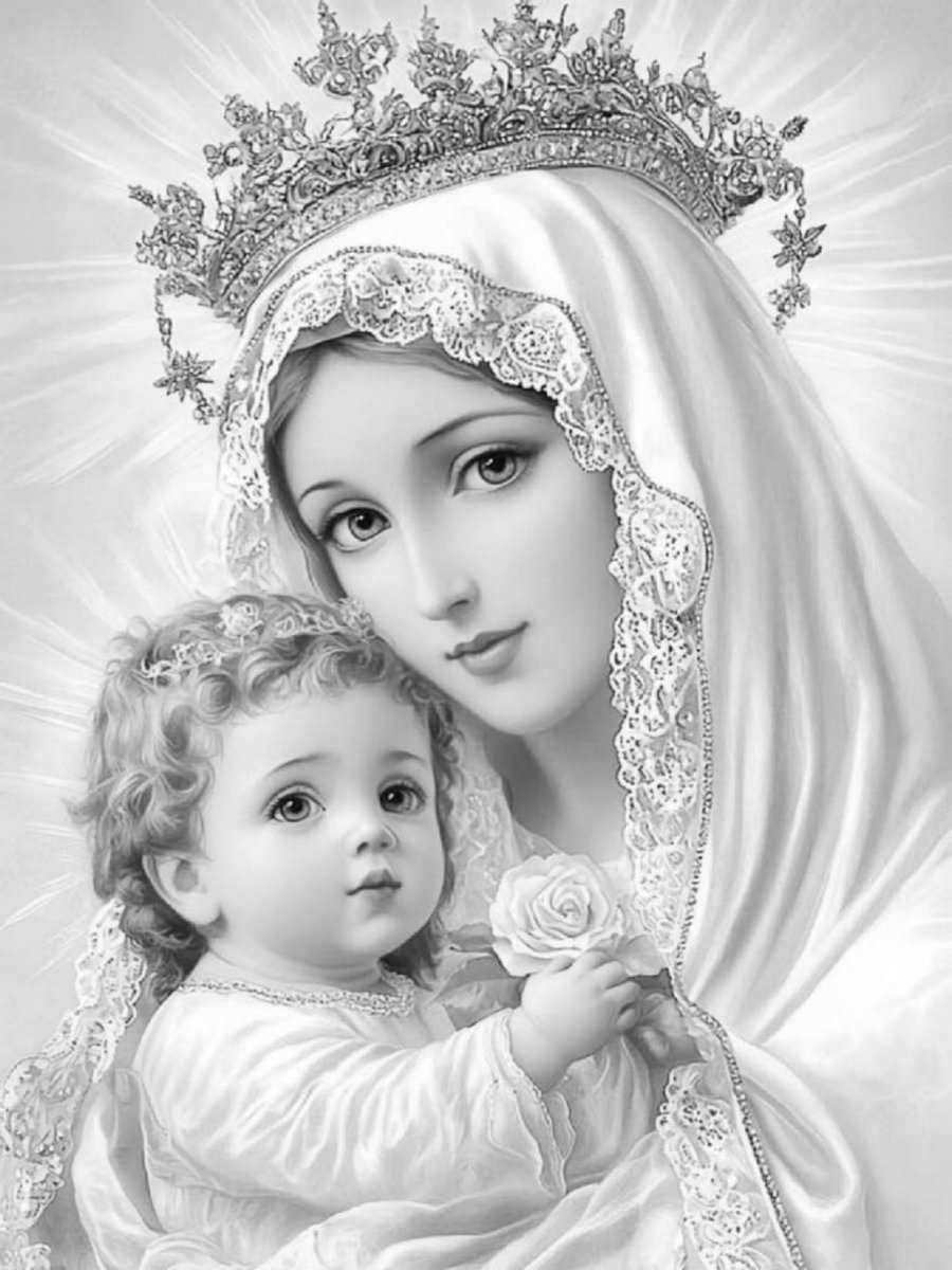 Hail Mary, Full of Grace, The Lord is with thee. Blessed art thou amongst all women, &amp; blessed is the fruit of thy womb, Jesus. Holy Mary, Mother of God, pray for us sinners now, and at the hour of our death. Amen.🙏🏾

Have a lovely day😊