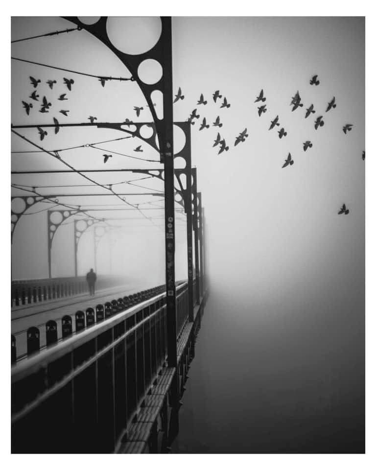 Pera Photo Gallery® tweet media