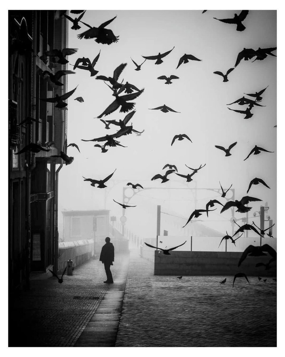 Pera Photo Gallery® tweet media