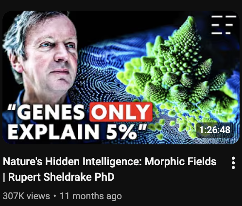 recently started curating my youtube feed with better videos to watch 

here's what i am trying
- clicking on videos that i think i will learn something from, learn about the reality, interesting theories, engaging experimental videos 
- watch, pause, go down the rabbit hole if