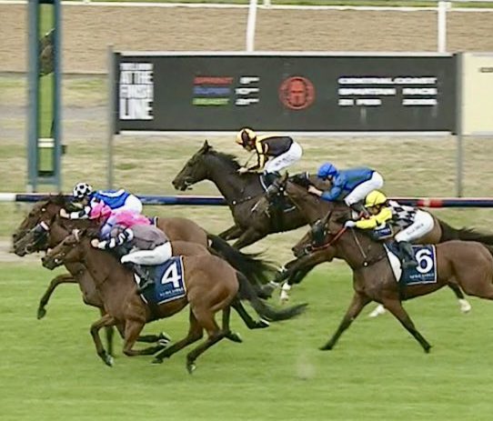 kimwaugh6's tweet image. Great to see Bend The Knee back in the Winners Circle - dead heating today @newcastleraces_ with @keaganlatham aboard 👏👏
With 14 career placing’s to his credit it really was a well deserved win!! #congratstohisowners #welldoneteam 👏👌🏻🏇🏇