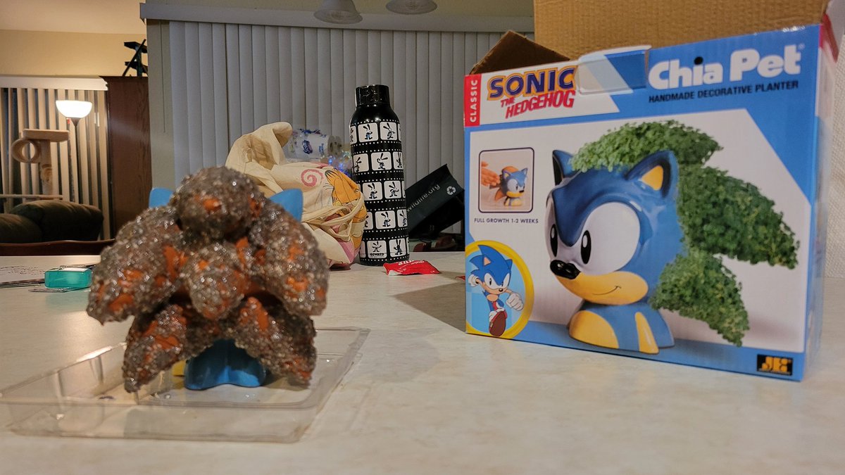 Nickthekid08's tweet image. My sister got me this Sonic Chia Pet. While this is cool of my sis. Sonic's head is a really annoying shape to spread seeds on. Lol
#SonictheHedgehog #Chiapet