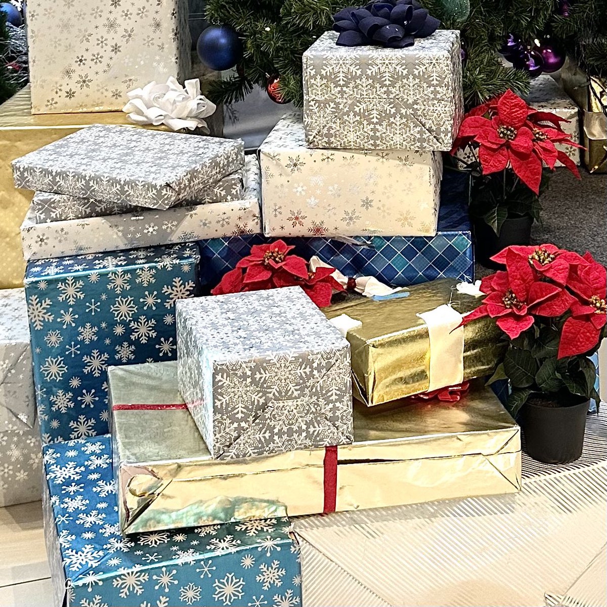 hamsterpupu's tweet image. #hamlife