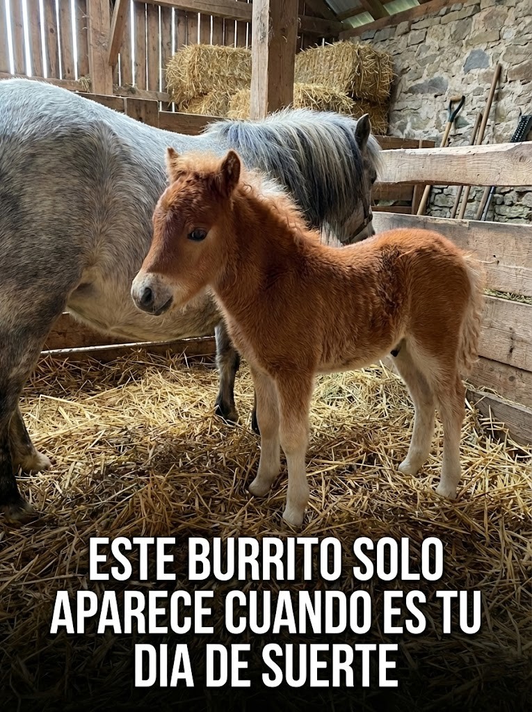 Zona Zero Películas (@zonacines) on Twitter photo 