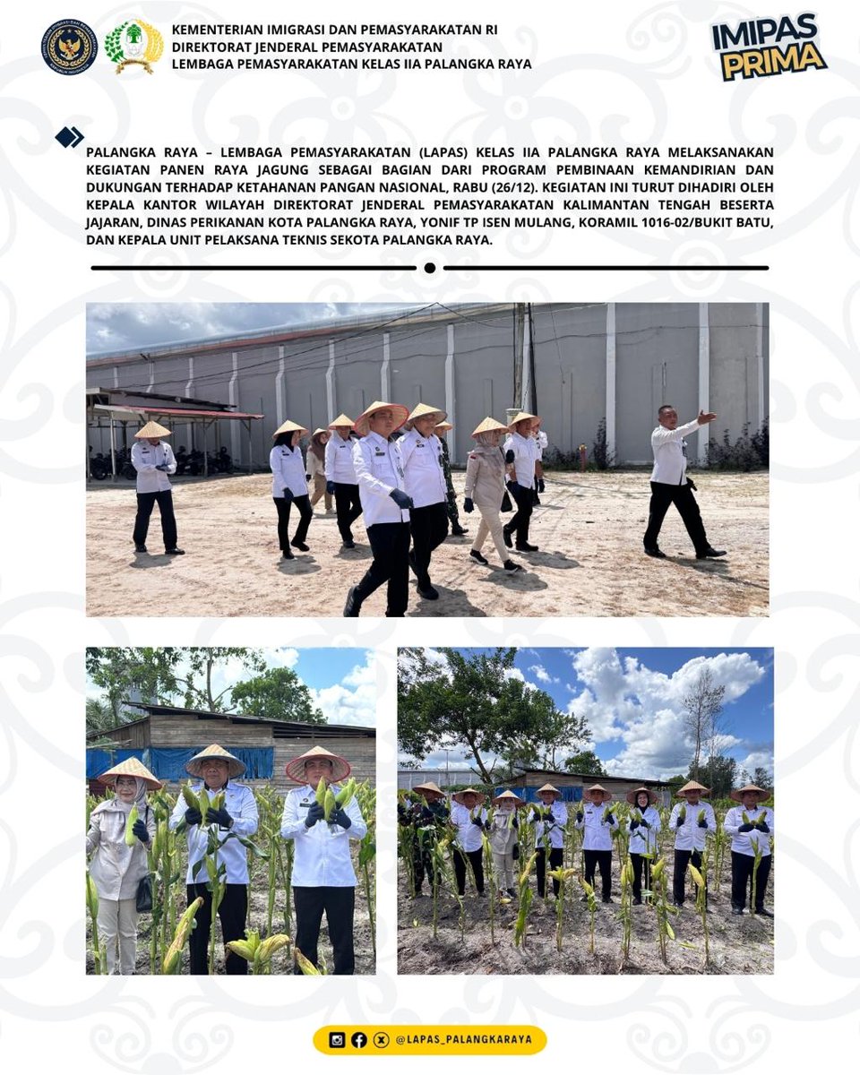 Panen Raya Jagung Lapas Palangka Raya Jadi Wujud Pembinaan Kemandirian Warga Binaan

#kemenimipas
#Ditjenpas
#pemasyarakatan
#guardandguide
#DitjenpasKalteng
#IPutuMurdiana
#infoimipas
<a href="/kemenimipas/">Kementerian Imigrasi dan Pemasyarakatan Republik I</a>
@kemenimipas_story
@diary_kemenimipas
<a href="/galeri/">galeri</a>.kemenimipas
@kanwilditjenpaskalteng