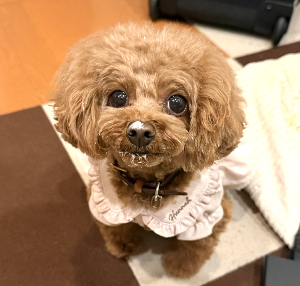 すとぅるるる‼︎💛🐰🐔🍗 (@atgpt) / Posts / X