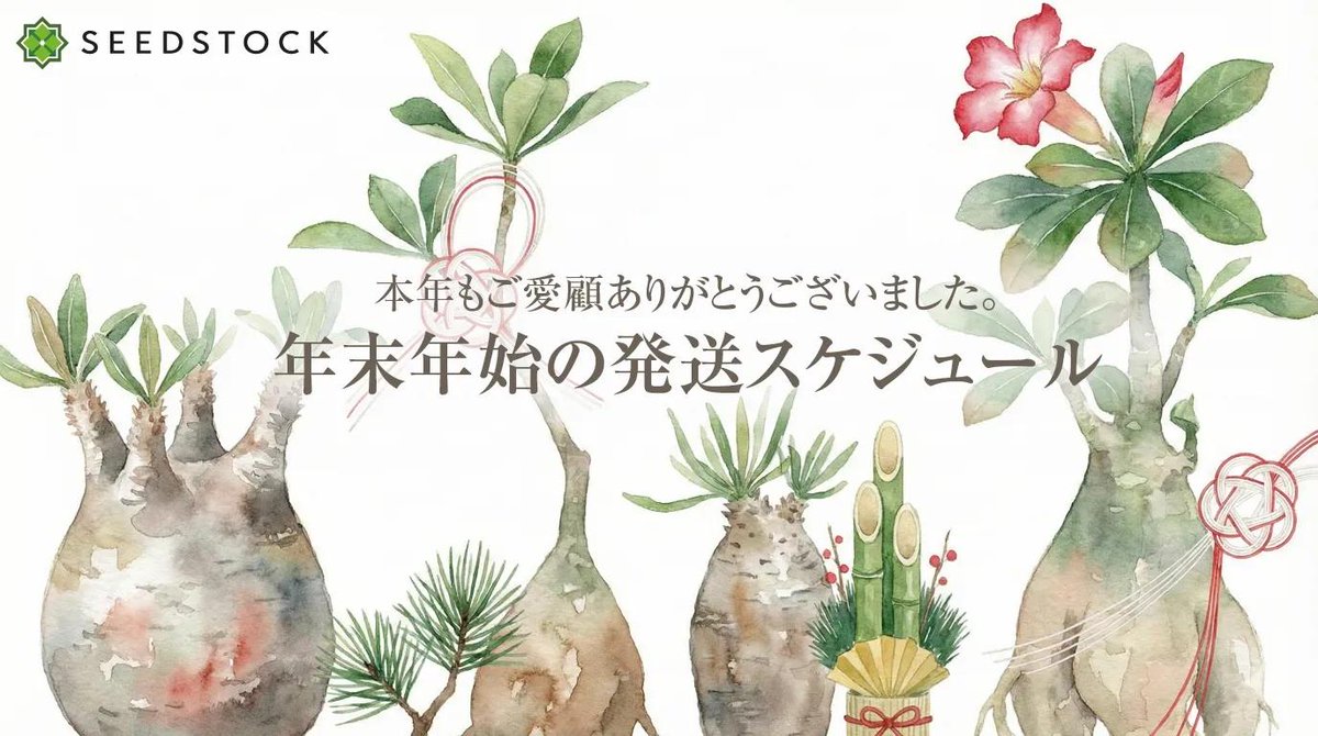 SEEDSTOCK (@seedstock_jp) / Posts / X