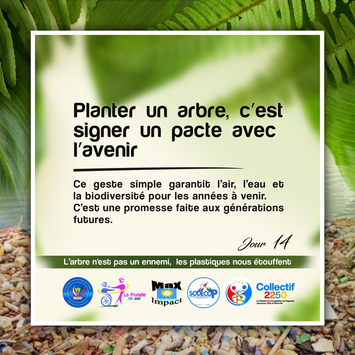 #Planter un arbre, c’est signer un pacte avec l’avenir. Ce geste simple garantit l’air, l’eau et la #biodiversité pour les années à venir. C’est une promesse faite aux #générations_futures.

#LArbreNEstPasUnEnnemi, #LesPlastiquesNousEtouffent