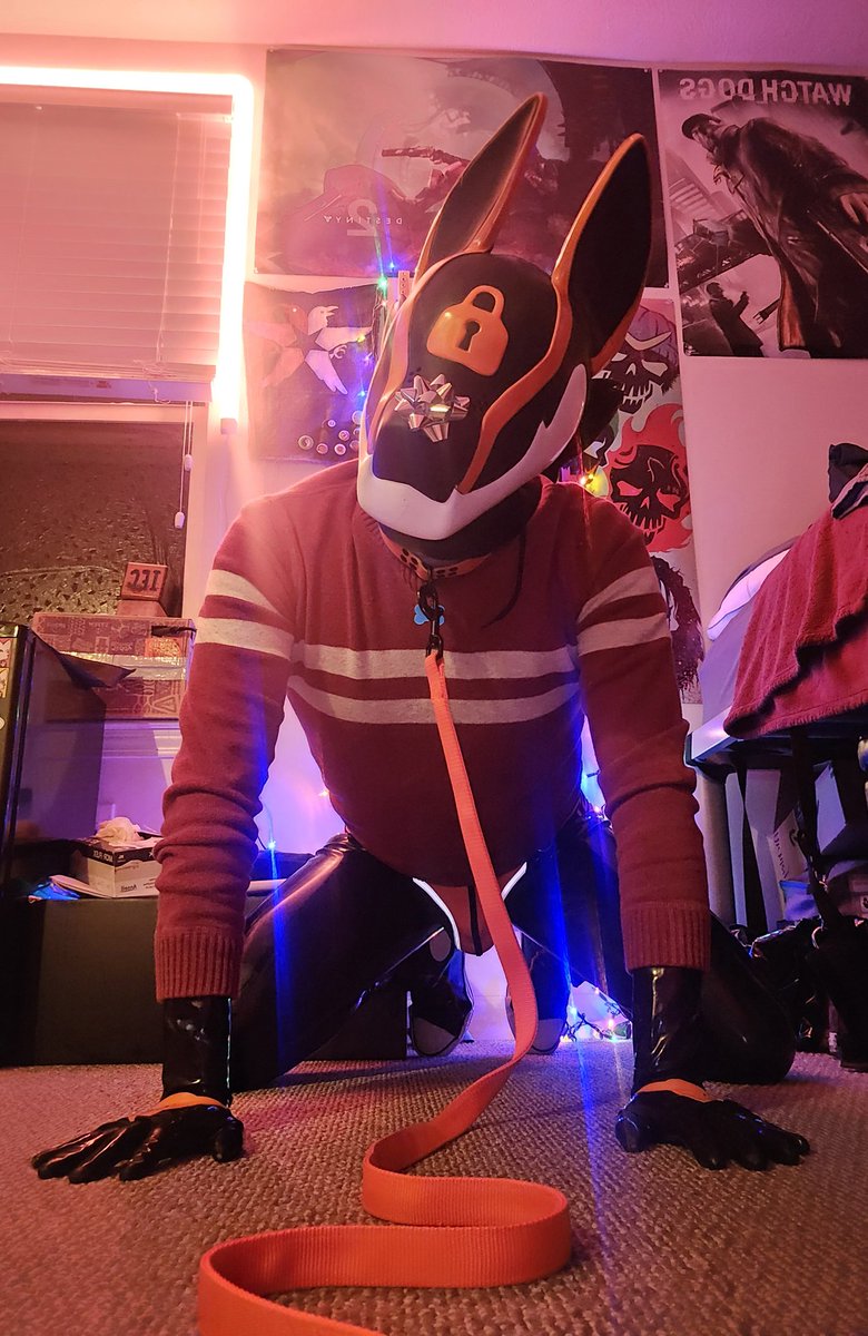 Nobody ever invites the weird latex dog guy to the office Christmas party :(