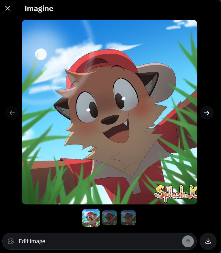 SplashJC tweet media