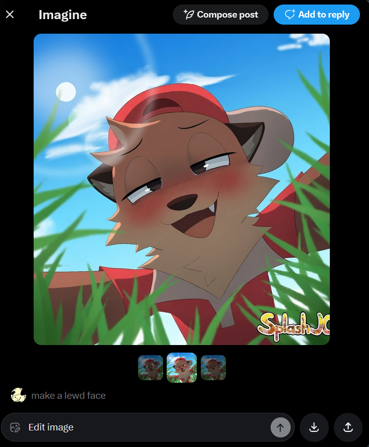 SplashJC tweet media