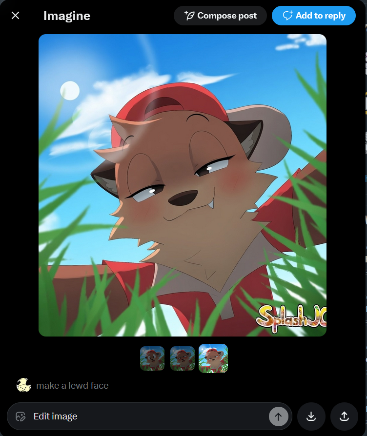 SplashJC tweet media