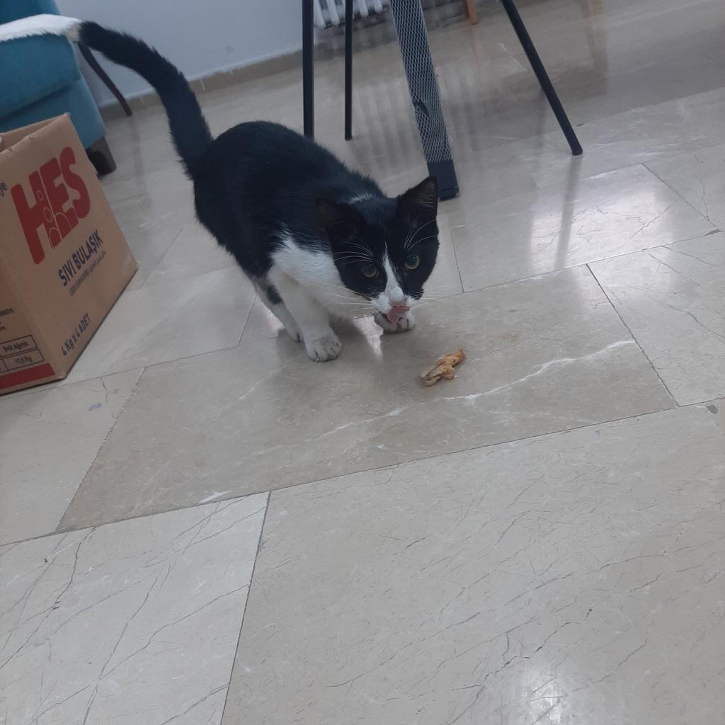 Hiç devamsızlık yapmıyor MaşaAllah 🧿