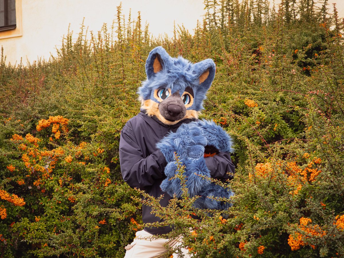 Vøjstřík tweet media