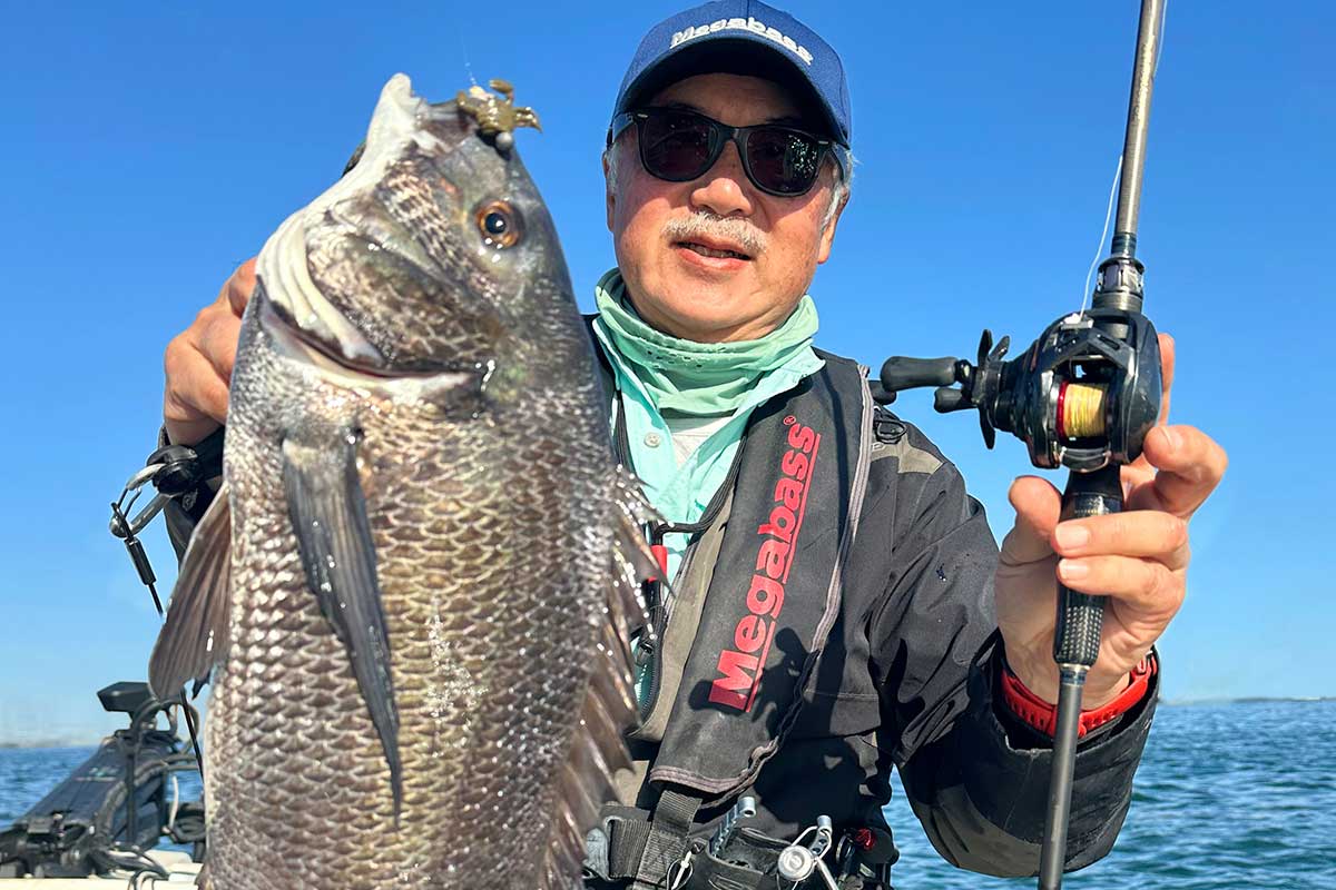 Megabass メガバス株式会社 (@megabass_jp) / Posts / X