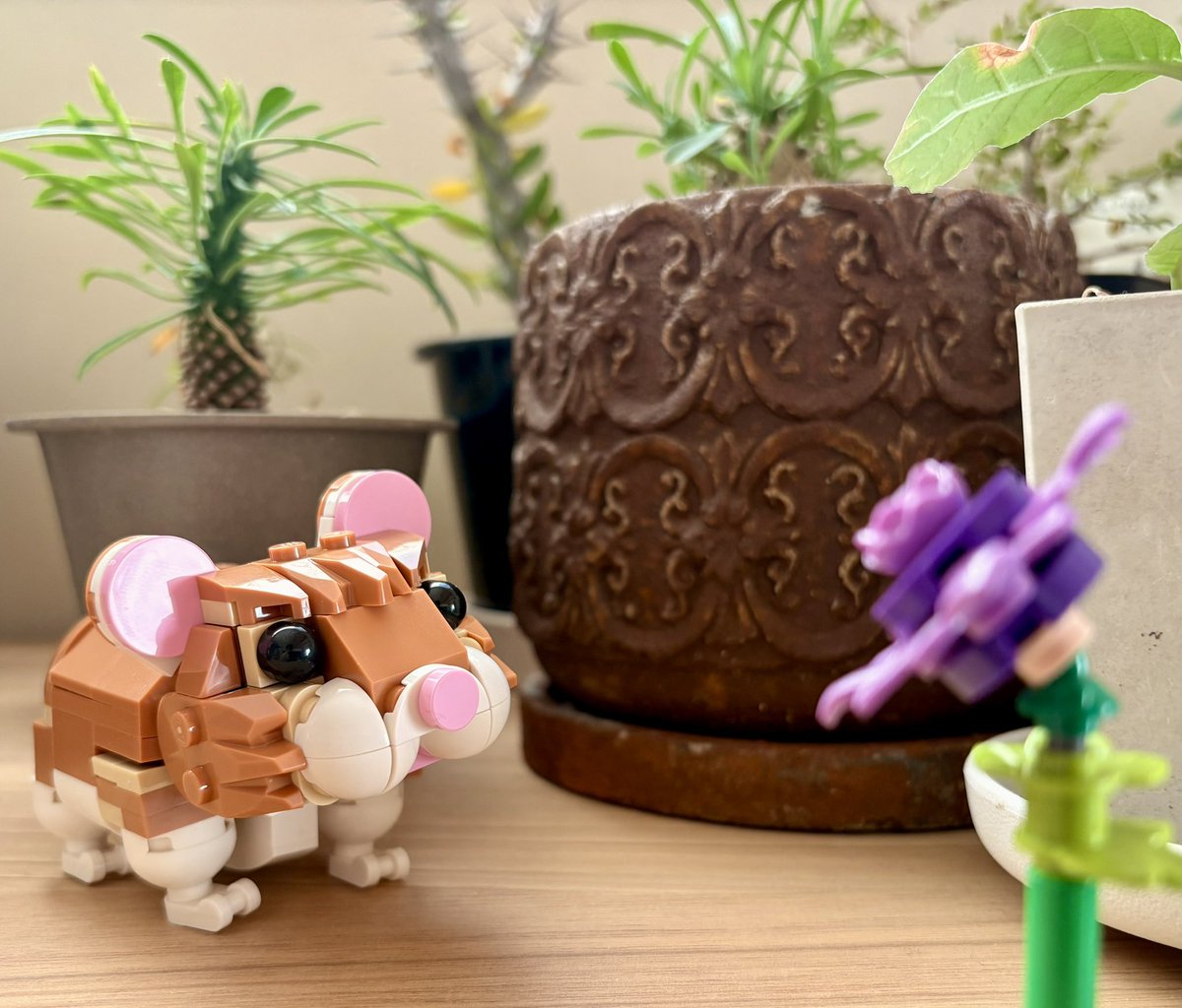 STUDIOKON1's tweet photo. あとちょっとでGWP!   という時に

「お花だいすきちびっこハムちゃん」

お手頃なレゴ欲しい!    という時に

「お花だいすきちびっこハムちゃん」 https://t.co/rn4vsh3AYj